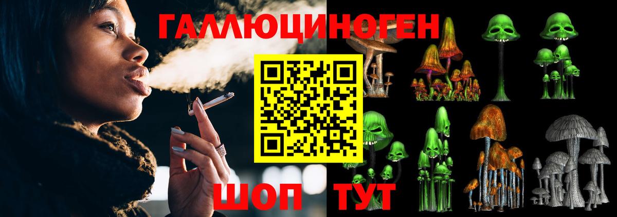 Щёлково  Галлюциногенные грибы Psilocybe  Вход с VPN 